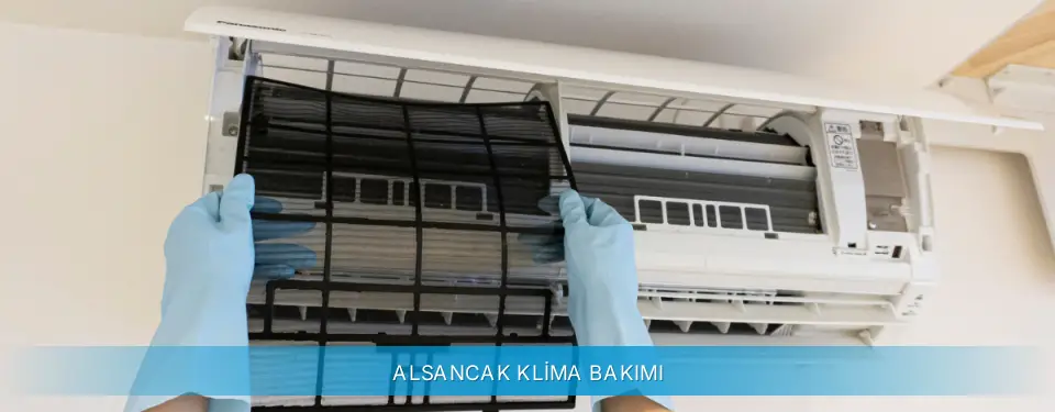 Alsancak İlçemi Beko Klima Bakımı